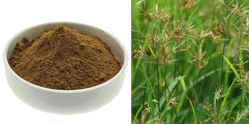 Cyperus rotundus root extract Cyperus rotundus root extract