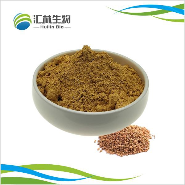 Polvo de extracto de fenogreco